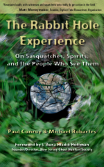 “The Rabbit Hole Experience” book cover with an image of a shattered world at the bottom of a spinning rabbit hole